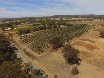 Heathcote