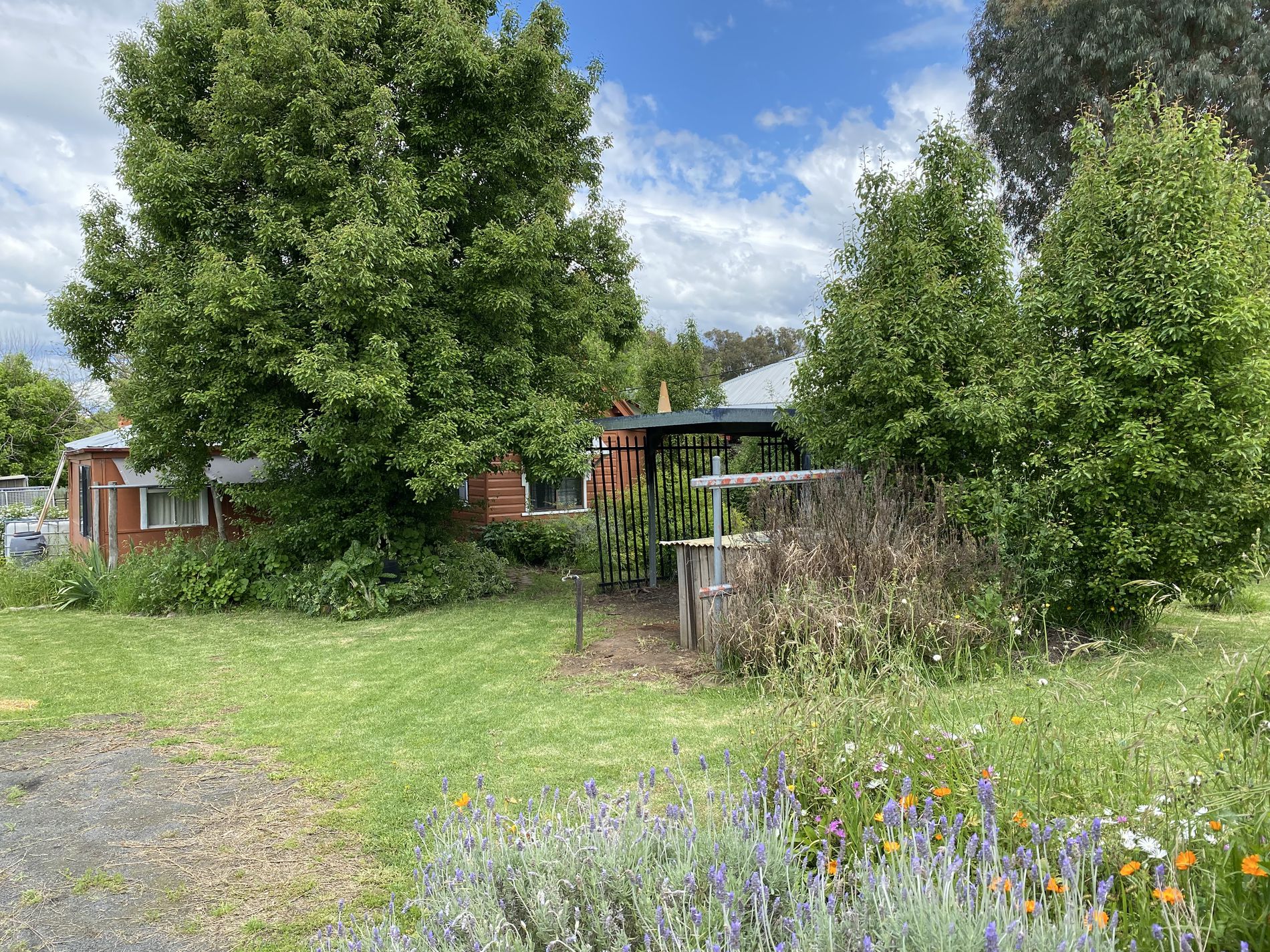 50 Martin Street, Coolah Piper Real Estate