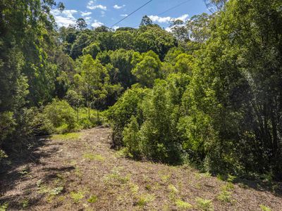 80 Robb Road, Lillian Rock