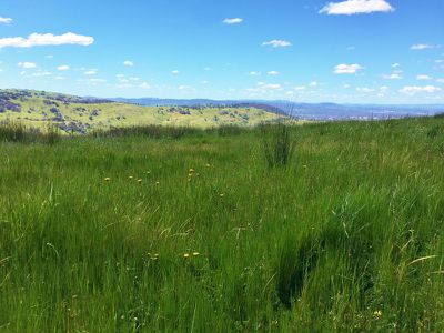 . Spring Gully Road, Wodonga