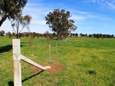 228 / Perryman Lane, Table Top