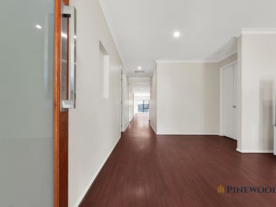 38 Serengeti Circuit, Tarneit