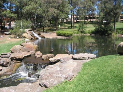 1 / 6 Clio St, Wiley Park