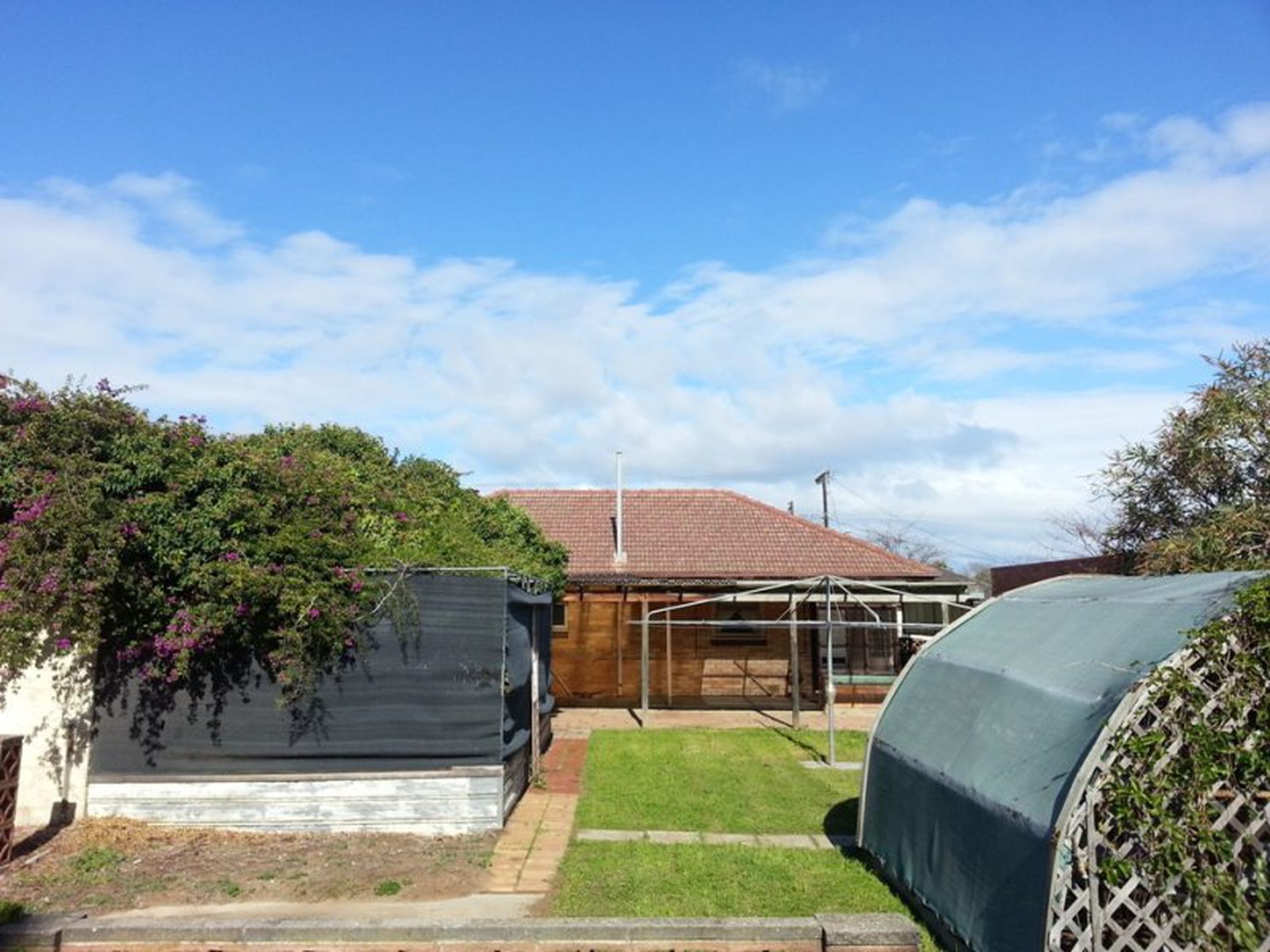 11 Electra Street, Netley