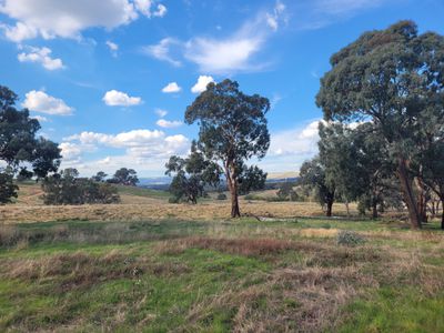 84 Owens Creek Drive, Mansfield