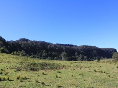 119E Mackays Road, Kangaroo Valley