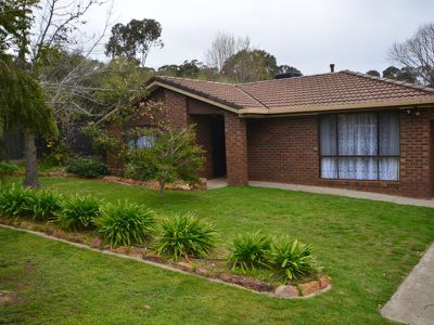 8 Glenn Street, Spring Gully