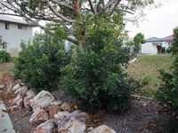 14 / 88 Shelduck Place, Calamvale