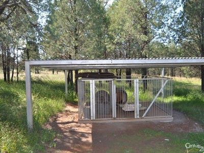 12R Terra Drive, Dubbo