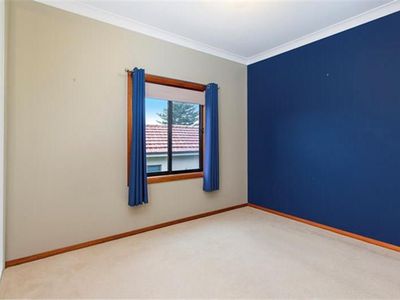 115 Cabbage Tree Lane, Fairy Meadow