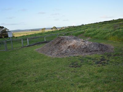 Lot 5-8, 64, Mount Gambier Road, Millicent