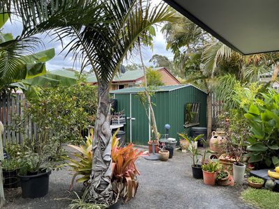 3 Dougan Street, Point Vernon