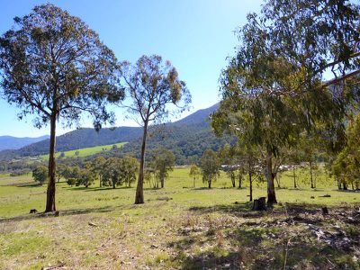Lot 2, 922 Mountain Creek Road, Tawonga