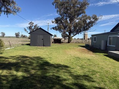 1419 Nelungaloo Road, Nelungaloo