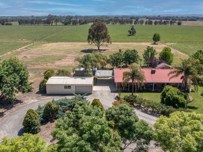 1007 Great Alpine Road, Tarrawingee