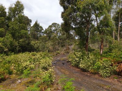 Lot 2 Huon Highway, Surges Bay