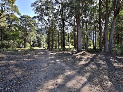 439 Jacks Corner Road, Kangaroo Valley