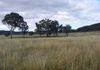 51 Mills Road, Molong
