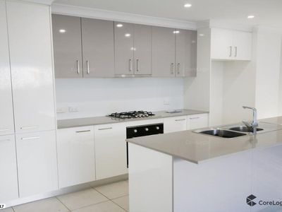 25 Bottle Brush Circuit, Coomera