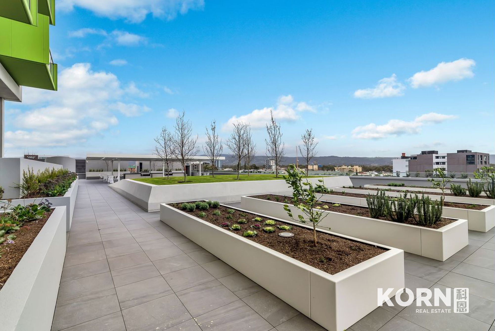 805 / 29 Angas Street, Adelaide