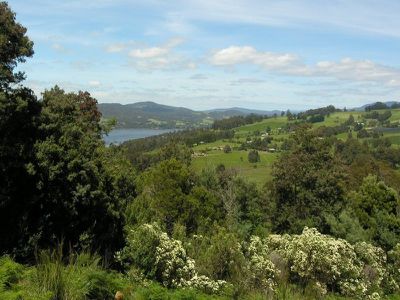 Lot 4 Lloyds Road, Franklin