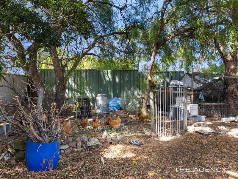 29 Starling Street, Hamilton Hill