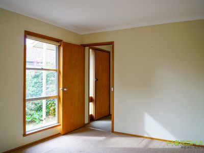 8 Shirley Street, Horsham