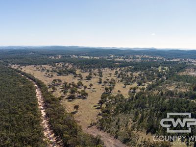 Lot 16, 18, - Emmaville Rd, Emmaville