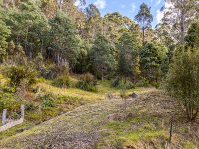 Lot 1, Smiths Road, Nicholls Rivulet