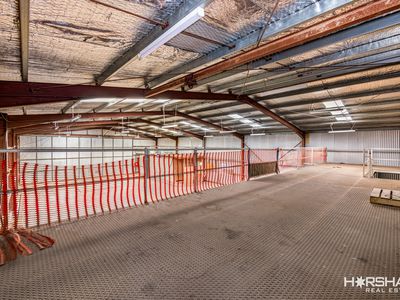91 Dimboola Road, Horsham