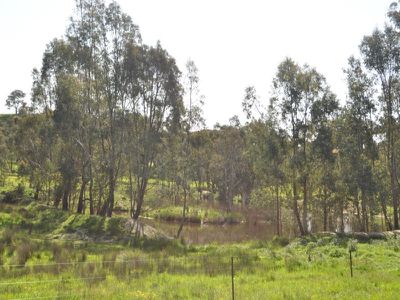 412 Vokins Creek Road, Little Billabong