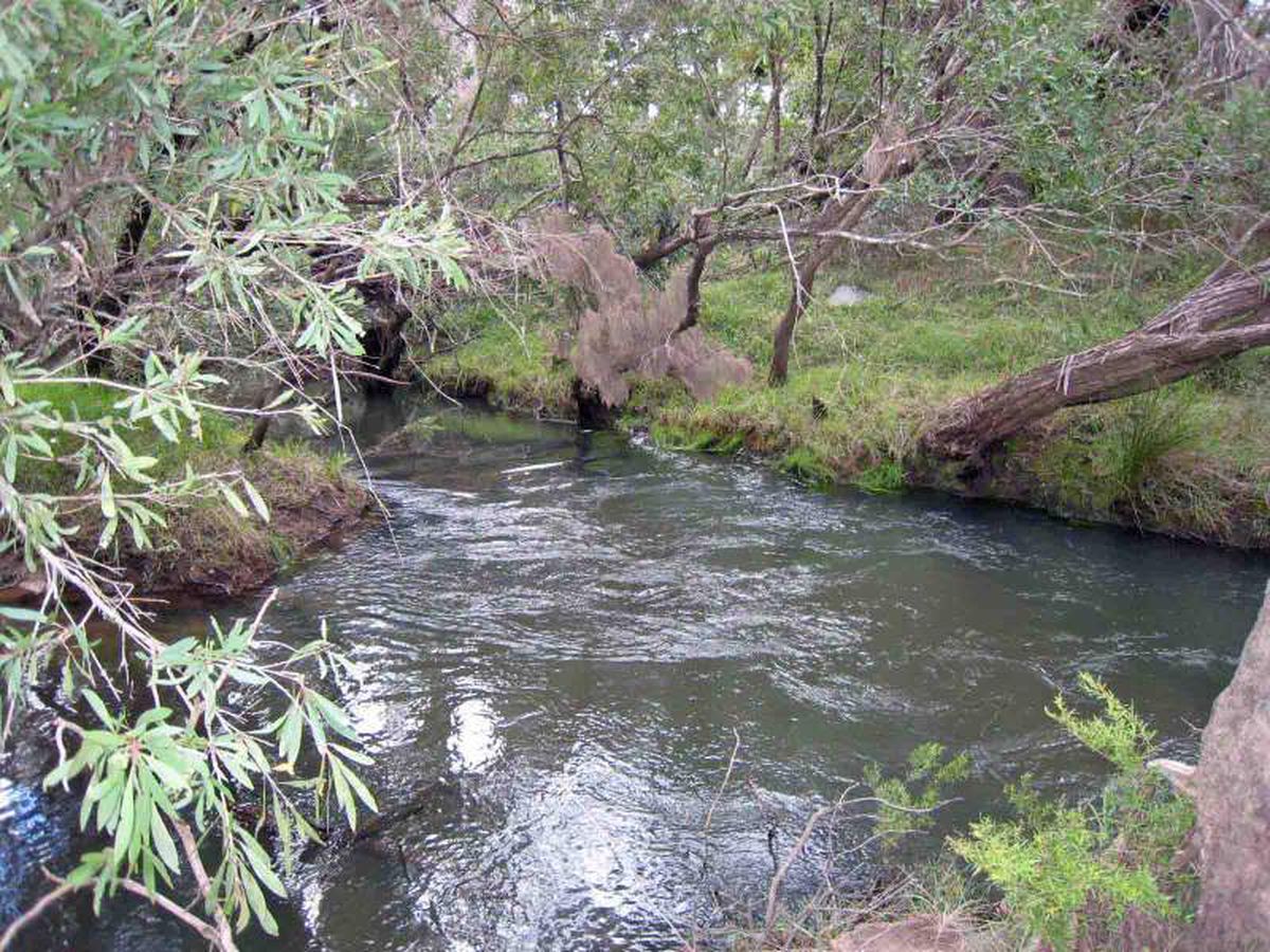 Herberton