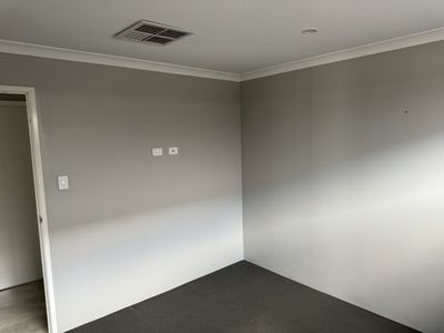 6 Lutea Loop  , Hilbert