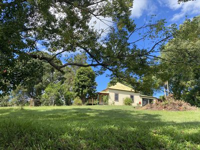 11 Paterson Road Road, Tuntable Creek