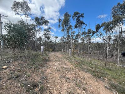 Lot 12, Moliagul Drive, Moliagul