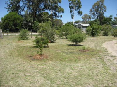 Cnr Laursen Roads & Gonn Roads, Murrabit