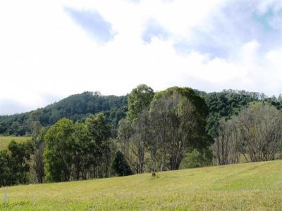 Lot 10 Tulsi Lane, Nimbin
