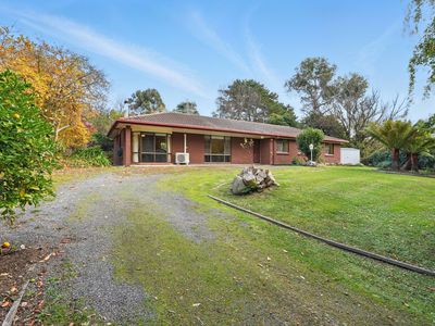 7685 Channel Highway, Cygnet