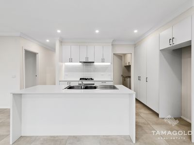 15 Cisticola Street, Narre Warren