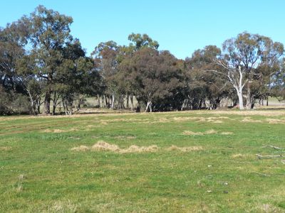 Beechworth-Chiltern Road, Chiltern