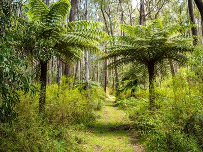 Kingfisher Road , Wyndham