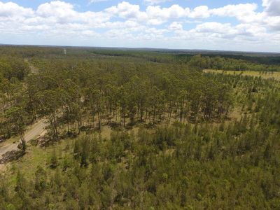 2 / 919 Clearfield Road, Myrtle Creek