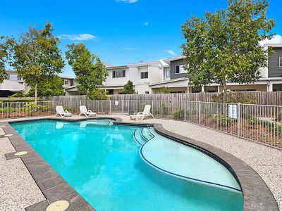 88 / 8 Starling Street, Buderim