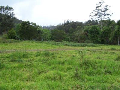 Lot 2, Upper Cedar Creek Road, Maleny