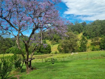 104 Gabal Road, Lillian Rock