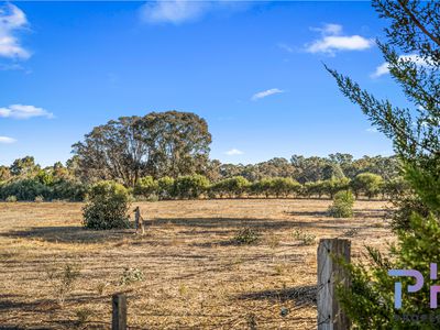 19 Trent Court, Axe Creek