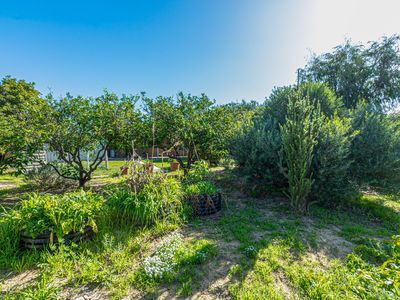 54 Moorpark Avenue, Yanchep