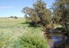* Boomey Stud  Bell River Block - Euchareena Road, Molong
