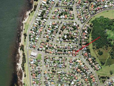 Mount Warrigal