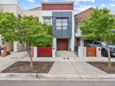3 Chard Street, Lightsview